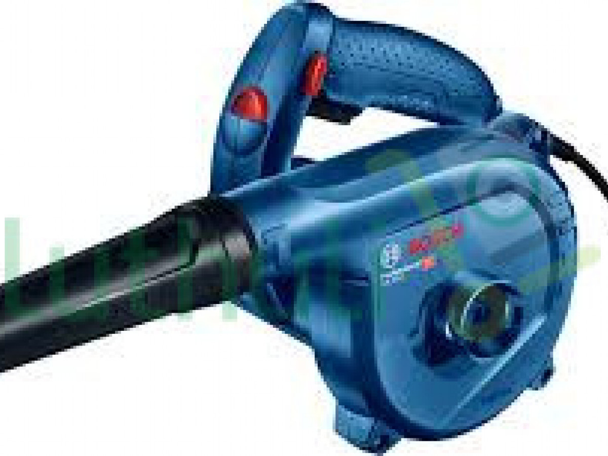 Dust blower
