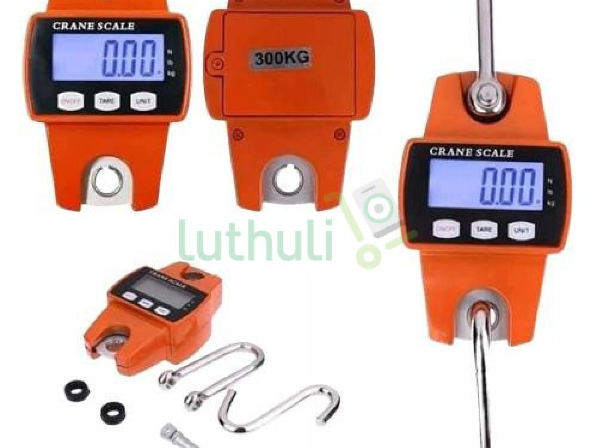 Industrial Crane Digital Weighing Scale