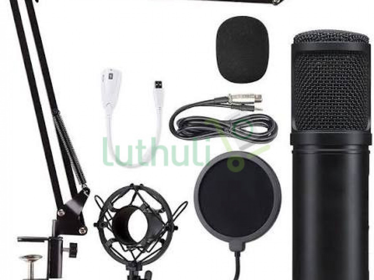 Professional Condenser Microphone