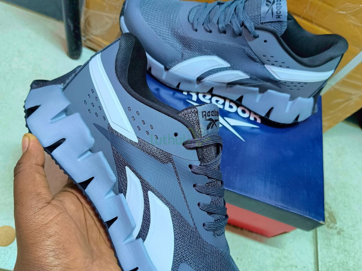 Reebok Zig Dynamica 2 Wolf Grey/White