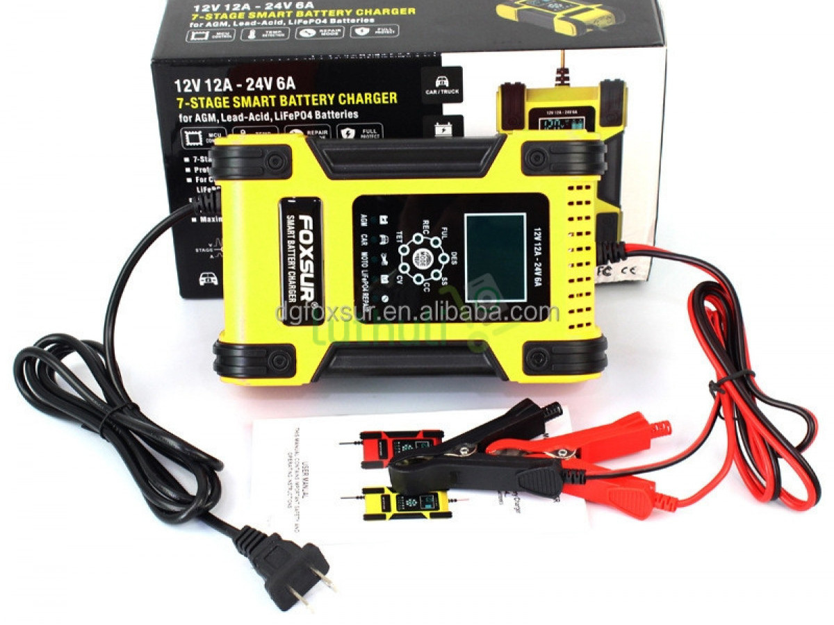 Foxsur Automatic Smart Battery Charger 12v 24