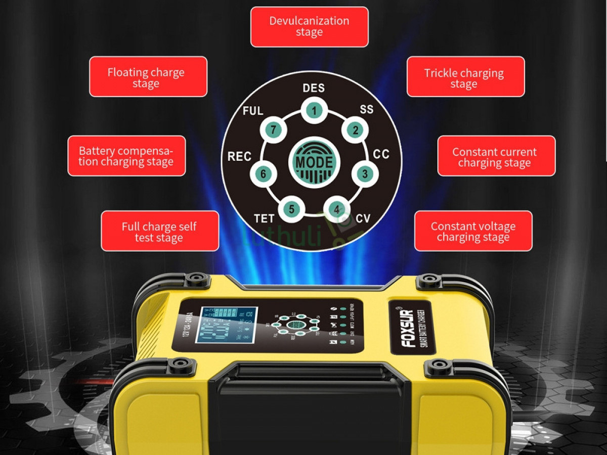 FOXSUR Lithium Battery Charger, 12V/24V 6Amp