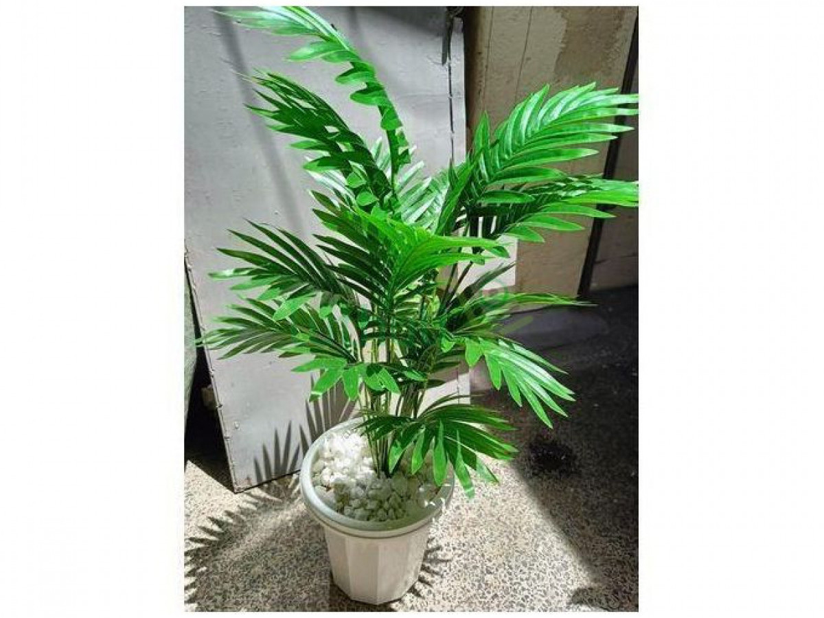 Artificial Palm Flower -vase & decor stones