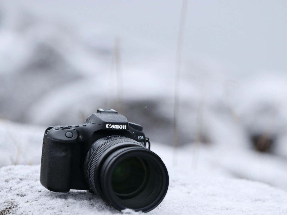 Canon EOS 80D DSLR with Dual Pixel Autofocus