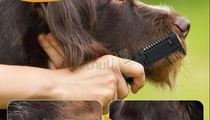 2-in-1 Pet Grooming Comb
