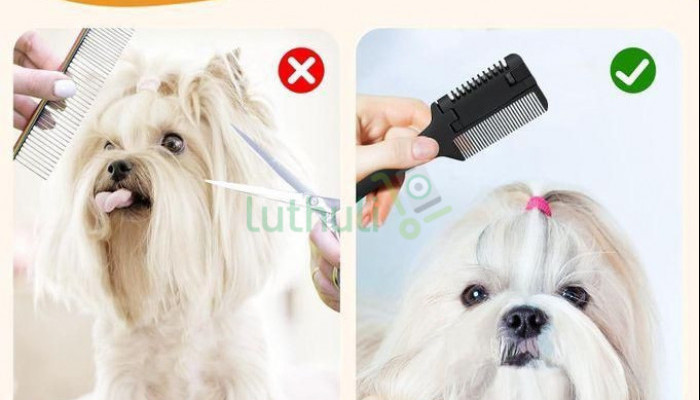 Pet Grooming Comb for Dogs and Cats