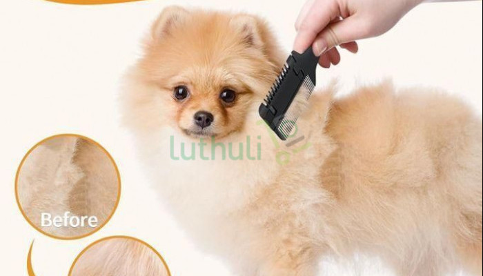 Pet Grooming Comb for Dogs and Cats