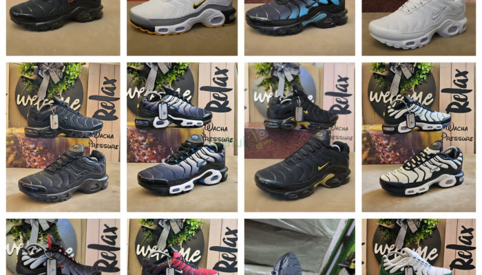 Nike Tn sports Air Max Plus Sneakers